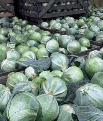 Уборочная кампания в Ярославской области порадовала хорошими результатами