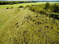 Ярославская область вошла в топ-5 регионов России по приросту индекса производства сельхозпродукции