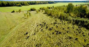 Ярославская область вошла в топ-5 регионов России по приросту индекса производства сельхозпродукции