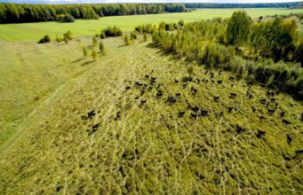 Ярославская область вошла в топ-5 регионов России по приросту индекса производства сельхозпродукции