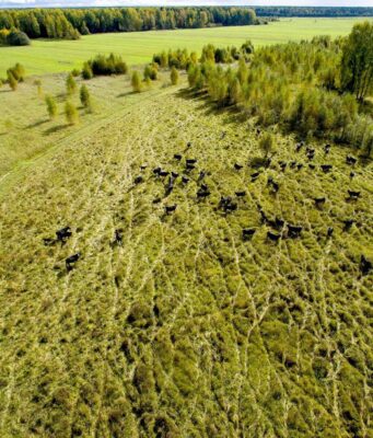 Ярославская область вошла в топ-5 регионов России по приросту индекса производства сельхозпродукции