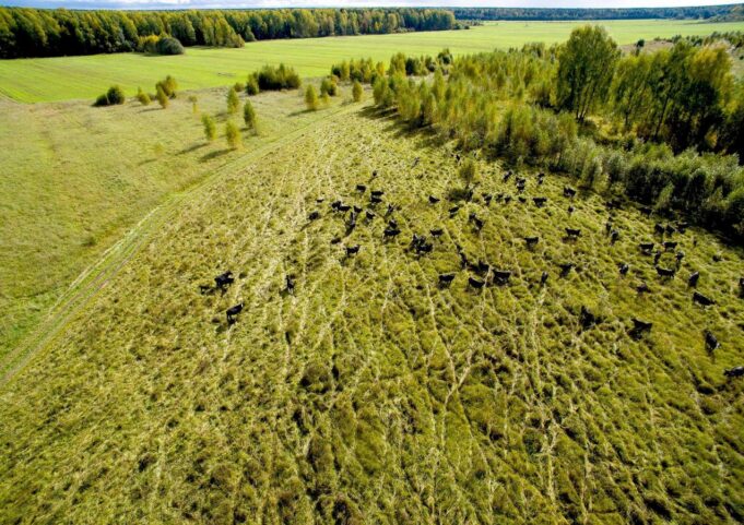 Ярославская область вошла в топ-5 регионов России по приросту индекса производства сельхозпродукции