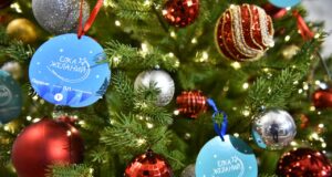 В Ярославской области продолжается благотворительная акция «Ёлка желаний»