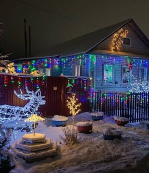 Новогодний дом