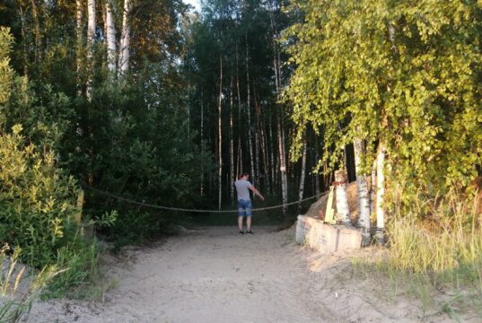 В Рыбинске пройдет вводная лекция для новичков отряда «ЛизаАлерт»