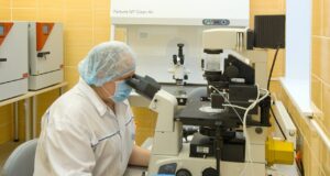 В 2026 году в Ярославской области тысяча жительниц сможет бесплатно пройти процедуру ЭКО