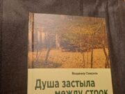 В библиотеке «Радуга» пройдёт презентация книги рыбинского писателя и краеведа Владимира Смирнова — «Душа застыла между строк»