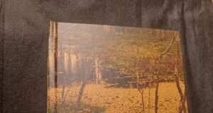 В библиотеке «Радуга» пройдёт презентация книги рыбинского писателя и краеведа Владимира Смирнова — «Душа застыла между строк»