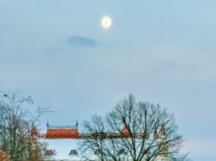 В Рыбинске пройдёт ежегодная встреча краеведов