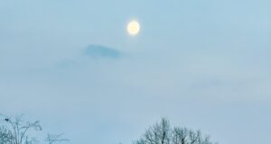 В Рыбинске пройдёт ежегодная встреча краеведов