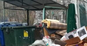 В Рыбинске жителям удалось убрать из-под окон мусорку