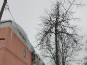 Жители дома номер 57 по улице Куйбышева жалуются на потоп в квартирах