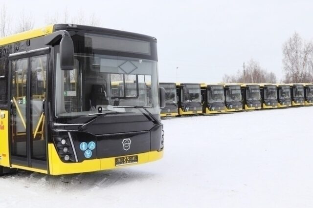 На Деминский лыжный марафон можно будет добраться на рейсовом автобусе