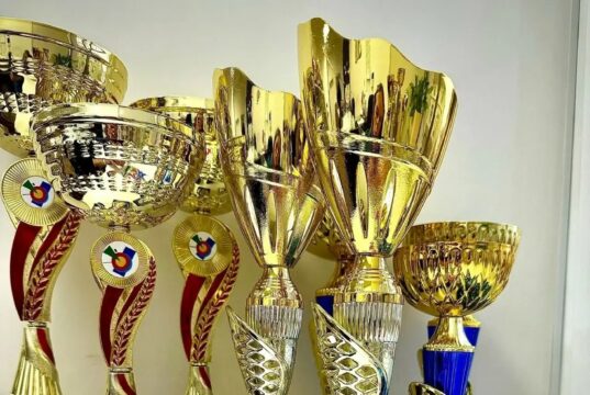 Лучшим спортсменам Рыбинска назначили стипендии главы