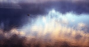 19 февраля в фотогалерее «Криста» в Рыбинске откроется выставка фотографий «Очевидное» Алексея Семерикова и Михаила Дружинина