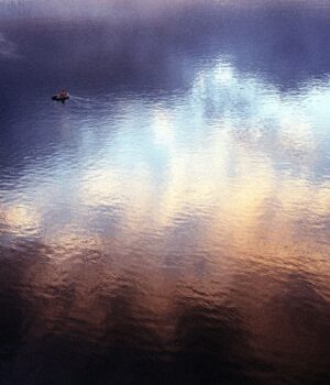 c8ba4120-bb5d-4609-b45e-b482e8bd6d47