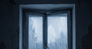 Рыбинцы не могут выехать из аварийного дома 1926 года постройки