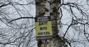 За расклейку объявлений в Рыбинске могут оштрафовать