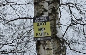 За расклейку объявлений в Рыбинске могут оштрафовать