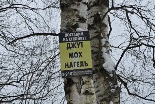 За расклейку объявлений в Рыбинске могут оштрафовать