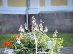 Рыбинск, озелененный руками жителей