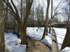 Жительница Рыбинска потеряла сына, который проходил лечение в психиатрической больнице нашего города