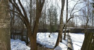 Жительница Рыбинска потеряла сына, который проходил лечение в психиатрической больнице нашего города