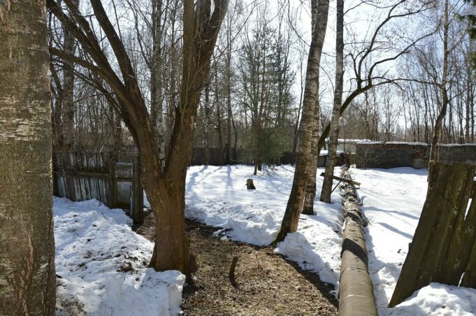 Жительница Рыбинска потеряла сына, который проходил лечение в психиатрической больнице нашего города
