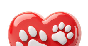 У вас есть кошка или собака? Тогда читайте!