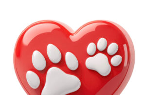 У вас есть кошка или собака? Тогда читайте!