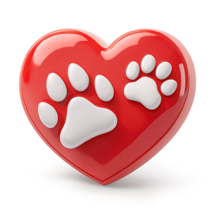 У вас есть кошка или собака? Тогда читайте!