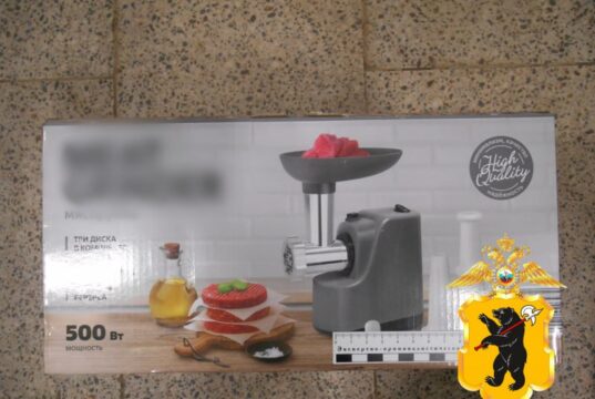 Пытался вынести мясорубку: в Рыбинске поймали вора, который совершил серию краж