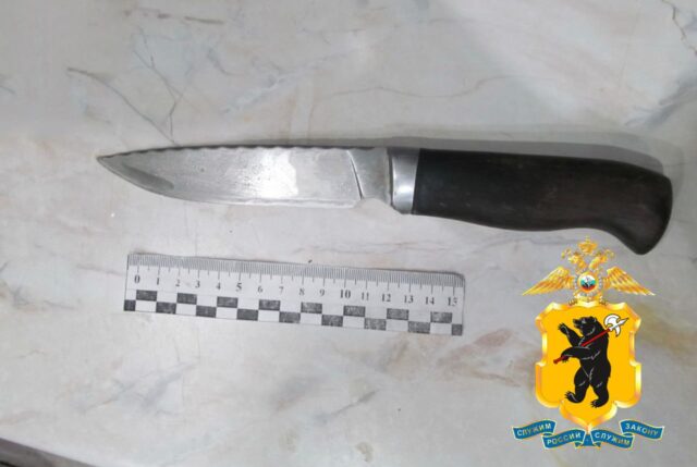 В Рыбинске мужчина зарезал сожительницу: возбуждено уголовное дело