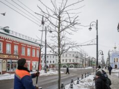 В Рыбинске начали ежегодную обрезку деревьев
