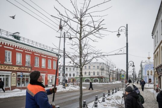 В Рыбинске начали ежегодную обрезку деревьев