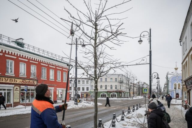 В Рыбинске начали ежегодную обрезку деревьев