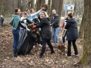 Тысячи жителей Ярославской области приняли участие во Всероссийском субботнике