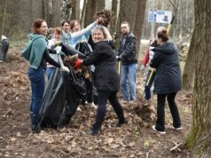 Тысячи жителей Ярославской области приняли участие во Всероссийском субботнике