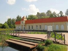 Благоустройство пруда «У «Дикси» в Мышкине будет продолжено в этом году благодаря нацпроекту