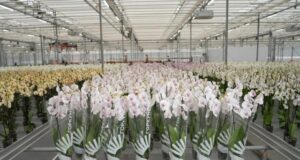 Михаил Евраев: «Ярославская область является одной из самых привлекательных для инвестиционных вложений»