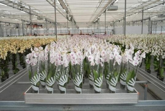 Михаил Евраев: «Ярославская область является одной из самых привлекательных для инвестиционных вложений»