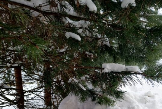 Весна наступила, а зимний осадок остался