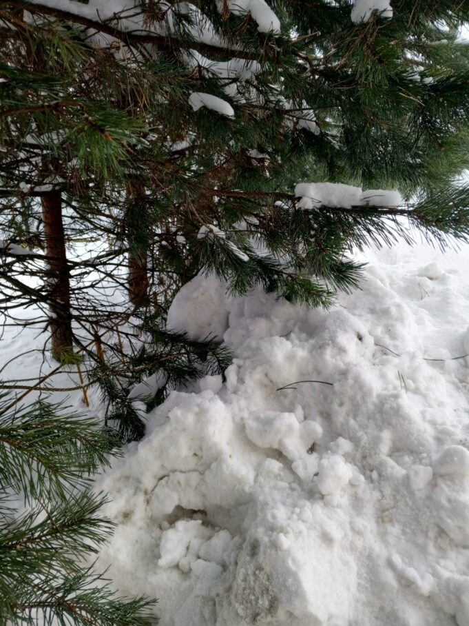 Весна наступила, а зимний осадок остался