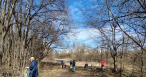 Какие территории приведут в порядок в Рыбинске 4 апреля