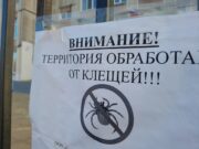 Осторожно – клещи!