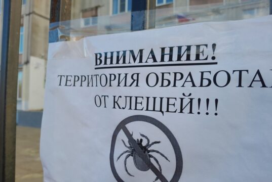 Осторожно – клещи!