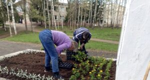 Рыбинск расцветает: в городе начали оформлять клумбы