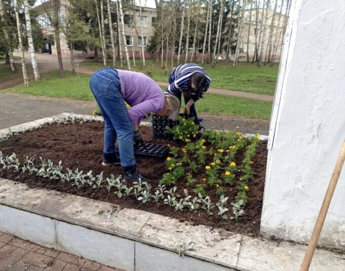 Рыбинск расцветает: в городе начали оформлять клумбы