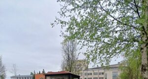 В Рыбинске стартовал сезон покоса травы