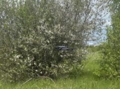 В Ярославской области для поиска пропавших людей начали использовать беспилотники